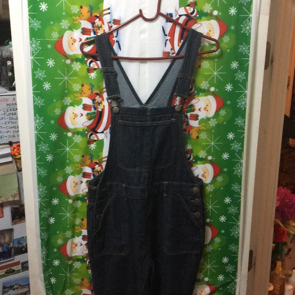 Wild Blue Sadie Robertson overalls